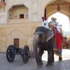 Urlaub in Indien 2016